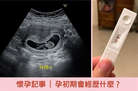 肚臍突然長毛|【懷孕初期】為何孕後肚子會長出毛毛 難道肚毛從此。